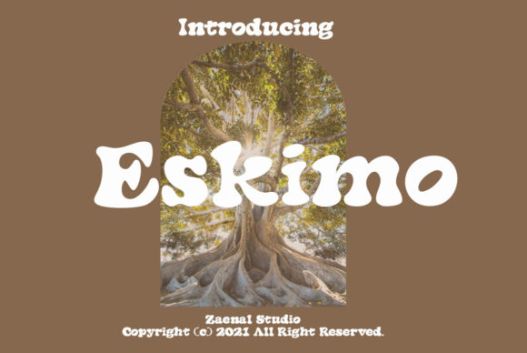 Eskimo: A Trendy Display Font for Web Design