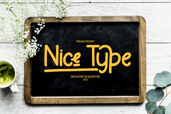 Nice Type: A Simple Font for Professional Branding