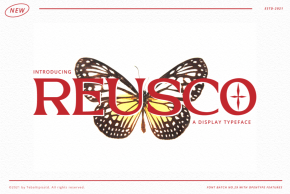 Reusco: The Modern Display Font That Elevates Campaign Design